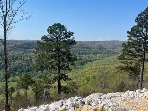 977 Nc 6827, Jasper, AR 72641 photo 20