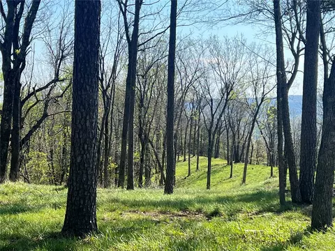 977 Nc 6827, Jasper, AR 72641 photo 15