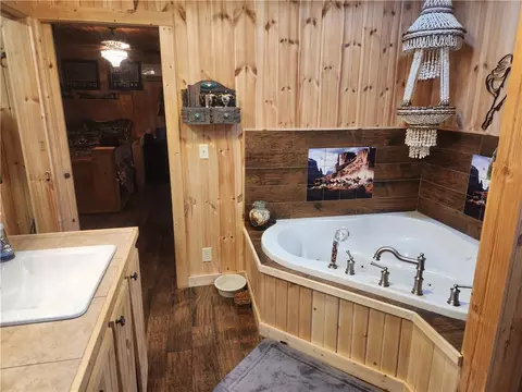 Bath - 110 Walker St, Ozark, AR 72949 photo 1 of 1