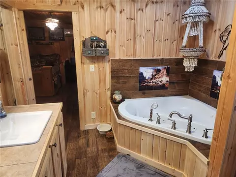 Bath - 110 Walker St, Ozark, AR 72949 photo 1 of 1