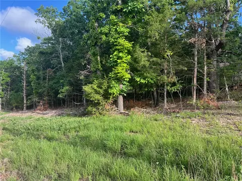 tbd Diamond Point Blvd, Diamond City, AR 72630