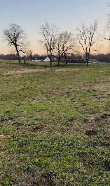 tbd W Buck Ave, Tontitown, AR 72762