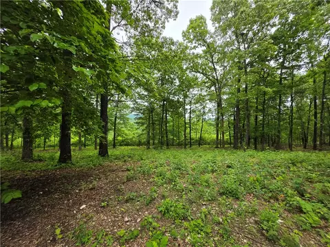 233 Nc 2802, Marble Falls, AR 72648 photo 4