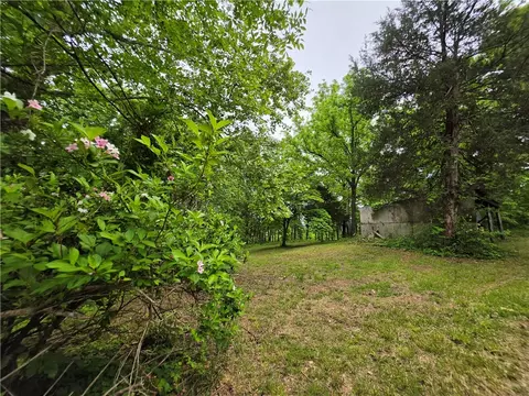 233 Nc 2802, Marble Falls, AR 72648 photo 10