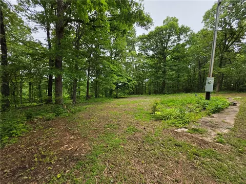 233 Nc 2802, Marble Falls, AR 72648 photo 3