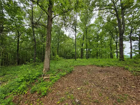 233 Nc 2802, Marble Falls, AR 72648 photo 6