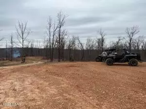 lot11 Wilshire Blvd, Pineville, MO 64856