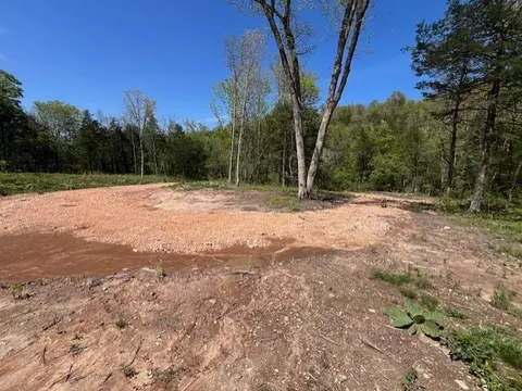 Wilderness Spring Trail., Harrison, AR 72601 photo 17