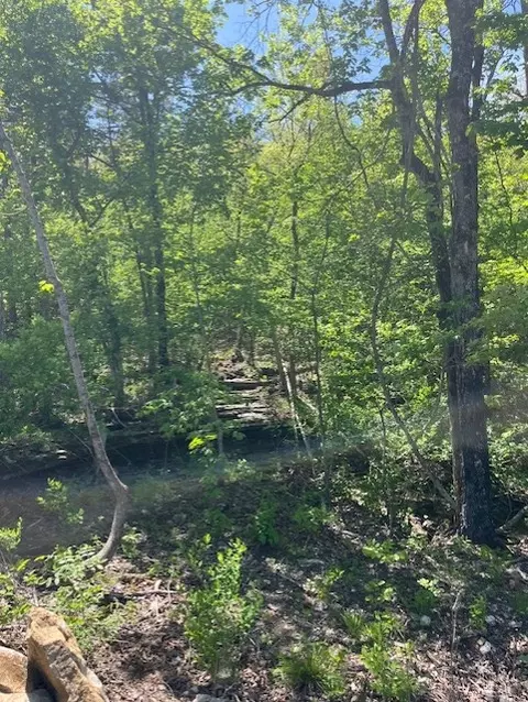 Wilderness Spring Trail., Harrison, AR 72601 photo 13