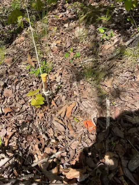Wilderness Spring Trail., Harrison, AR 72601 photo 24
