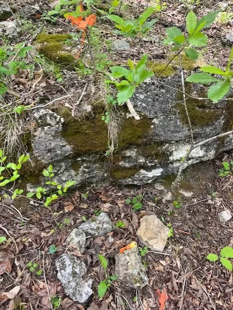 Wilderness Spring Trail., Harrison, AR 72601 photo 19