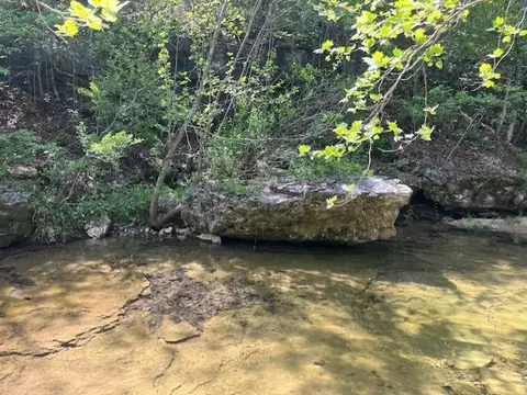 Wilderness Spring Trail., Harrison, AR 72601 photo 14