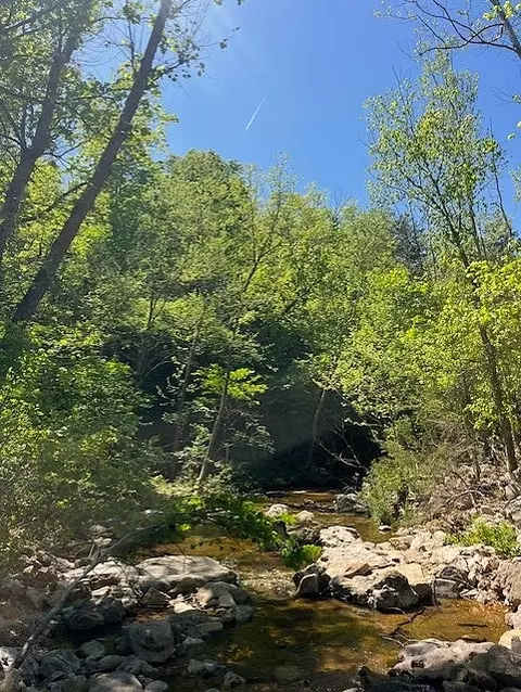 Wilderness Spring Trail., Harrison, AR 72601 photo 8