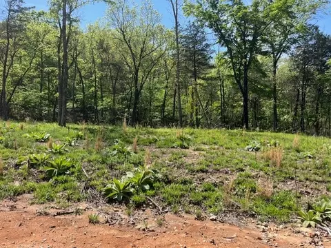 Wilderness Spring Trail., Harrison, AR 72601 photo 12