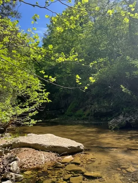 Wilderness Spring Trail., Harrison, AR 72601 photo 2