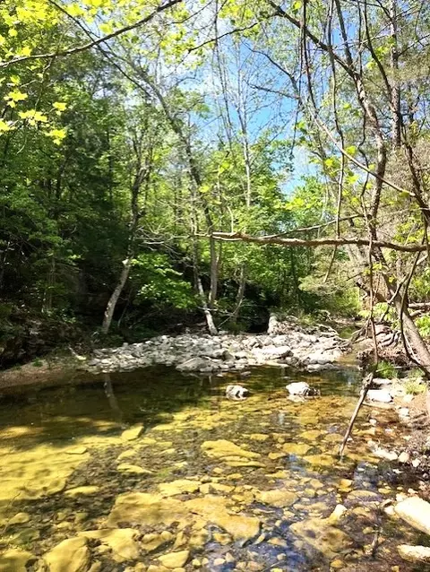Wilderness Spring Trail., Harrison, AR 72601 photo 4
