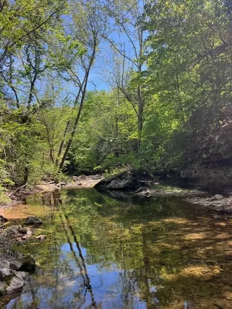 Wilderness Spring Trail., Harrison, AR 72601 photo 5