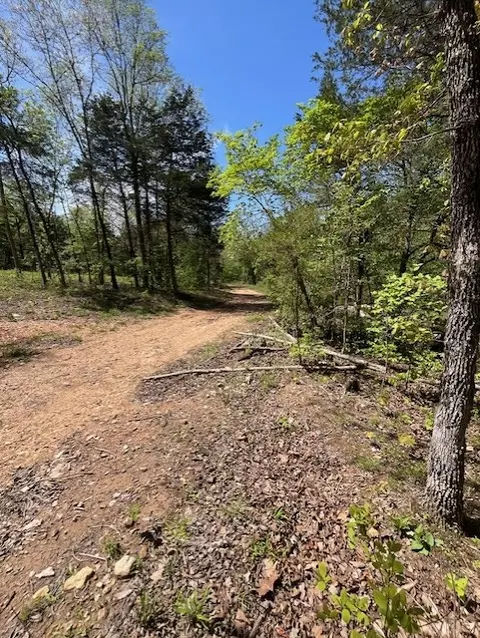 Wilderness Spring Trail., Harrison, AR 72601 photo 15