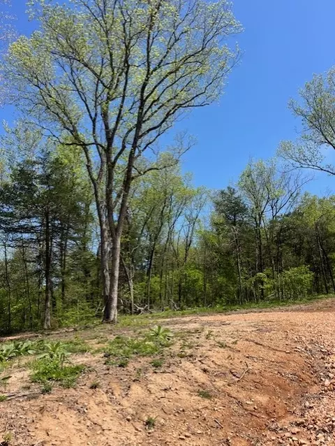 Wilderness Spring Trail., Harrison, AR 72601 photo 16