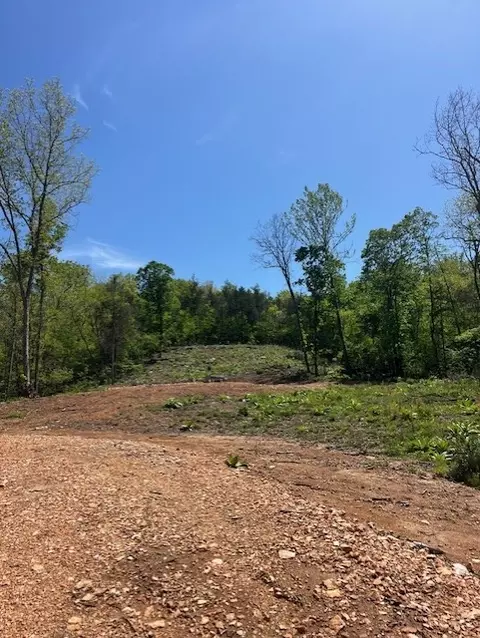 Wilderness Spring Trail., Harrison, AR 72601 photo 11