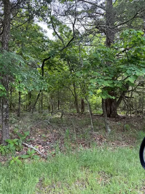 lot67 Rocky Ridge Pl, Rogers, AR 72732