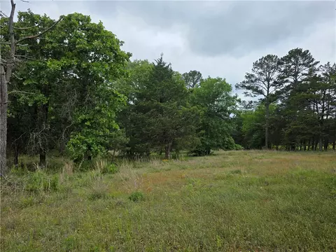 2 Acres On Linker Mtn, Dover, AR 72837 photo 4