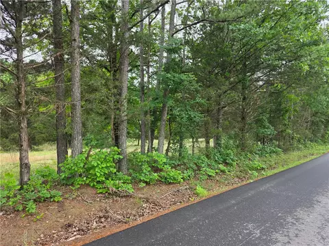 2 Acres On Linker Mtn, Dover, AR 72837 photo 6