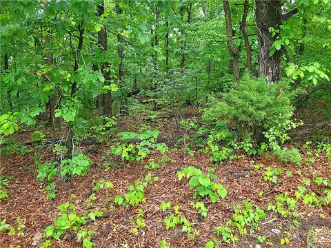 Hadleigh Lane, Bella Vista, AR 72714