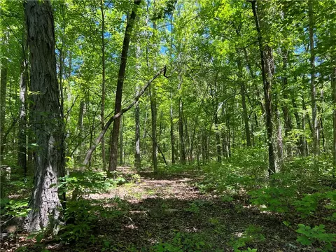 Terrapin Road, Harrison, AR 72601 photo 2