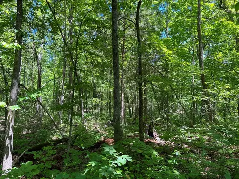 Terrapin Road, Harrison, AR 72601 photo 3