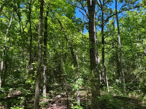 Terrapin Road, Harrison, AR 72601 photo 4