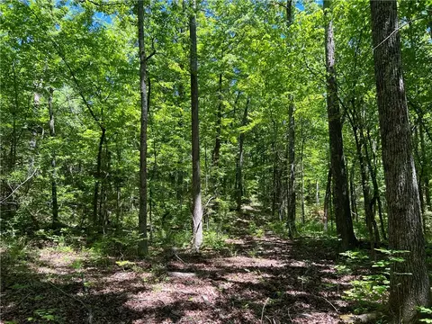 Terrapin Road, Harrison, AR 72601