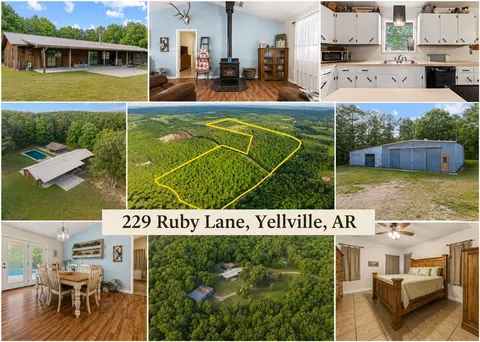 229 Ruby Ln, Yellville, AR 72687