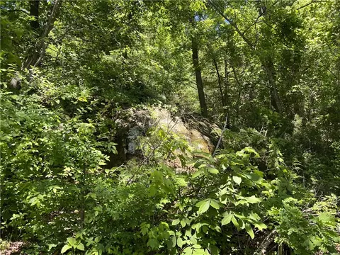 Terrapin Road, Harrison, AR 72601 photo 5