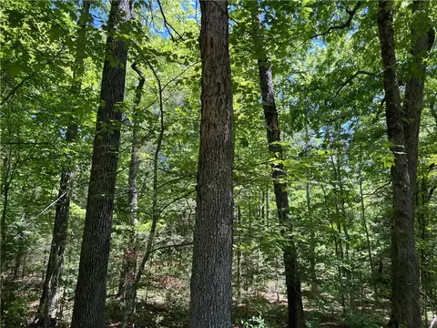 Terrapin Road, Harrison, AR 72601
