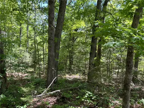 Terrapin Road, Harrison, AR 72601 photo 3