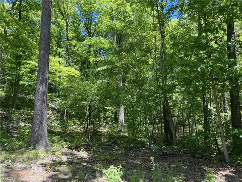 Terrapin Road, Harrison, AR 72601 photo 2