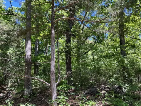 Terrapin Road, Harrison, AR 72601 photo 4
