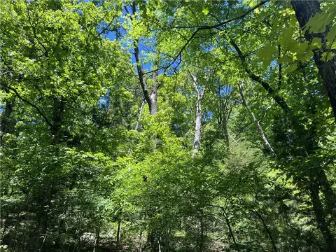 Terrapin Road, Harrison, AR 72601 photo 4