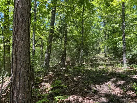 Terrapin Road, Harrison, AR 72601