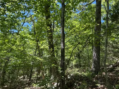 Terrapin Road, Harrison, AR 72601 photo 3