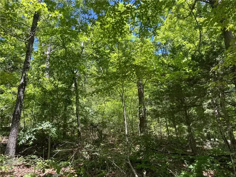Terrapin Road, Harrison, AR 72601 photo 2
