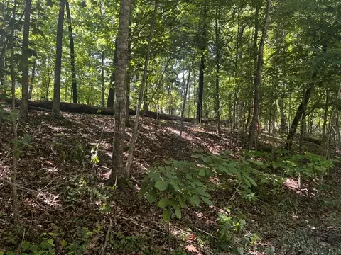 lot12 Block 8 Riding Ln, Bella Vista, AR 72714