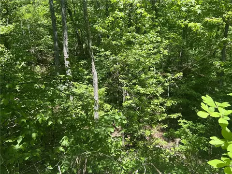 Terrapin Road, Harrison, AR 72601 photo 10