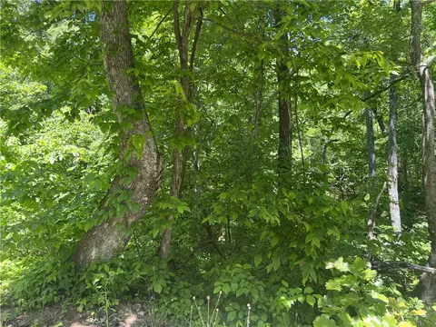 Terrapin Road, Harrison, AR 72601 photo 9