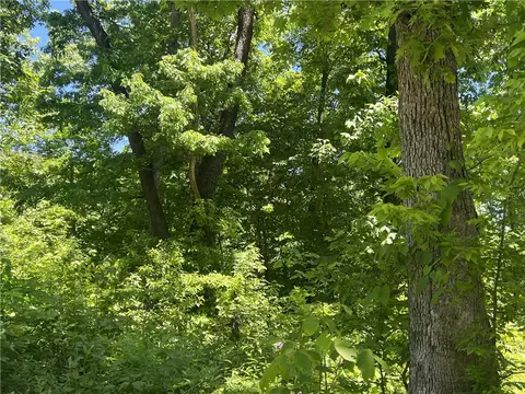 Terrapin Road, Harrison, AR 72601 photo 8