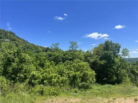 Terrapin Road, Harrison, AR 72601