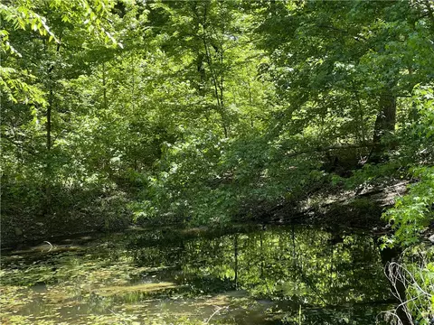Terrapin Road, Harrison, AR 72601 photo 6