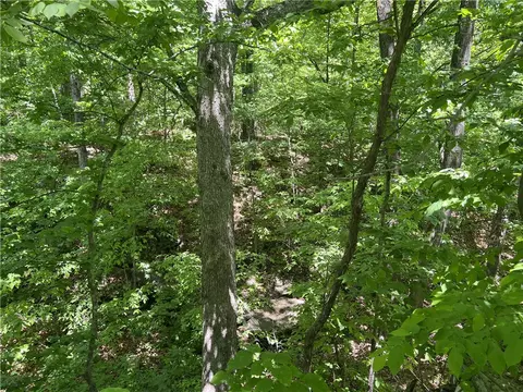 Terrapin Road, Harrison, AR 72601 photo 11