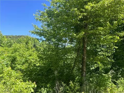 Terrapin Road, Harrison, AR 72601 photo 7